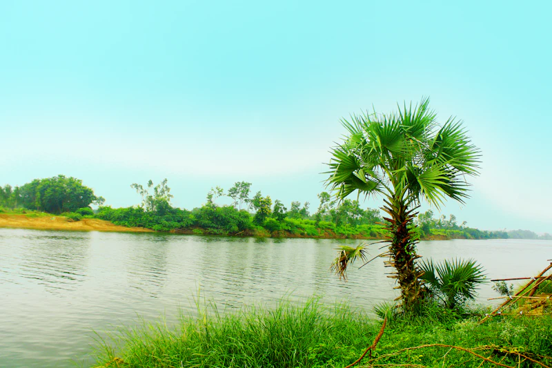 Best Eco-Friendly Resorts and Sustainable Stays in Hyderabad