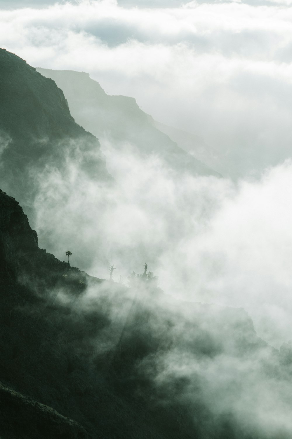 a group of people on a mountain