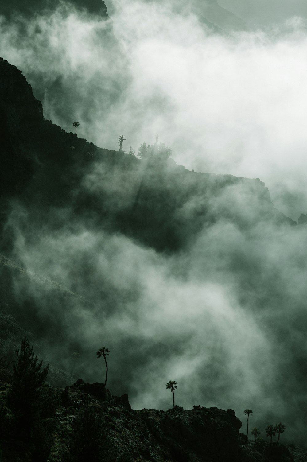a large cloud of smoke