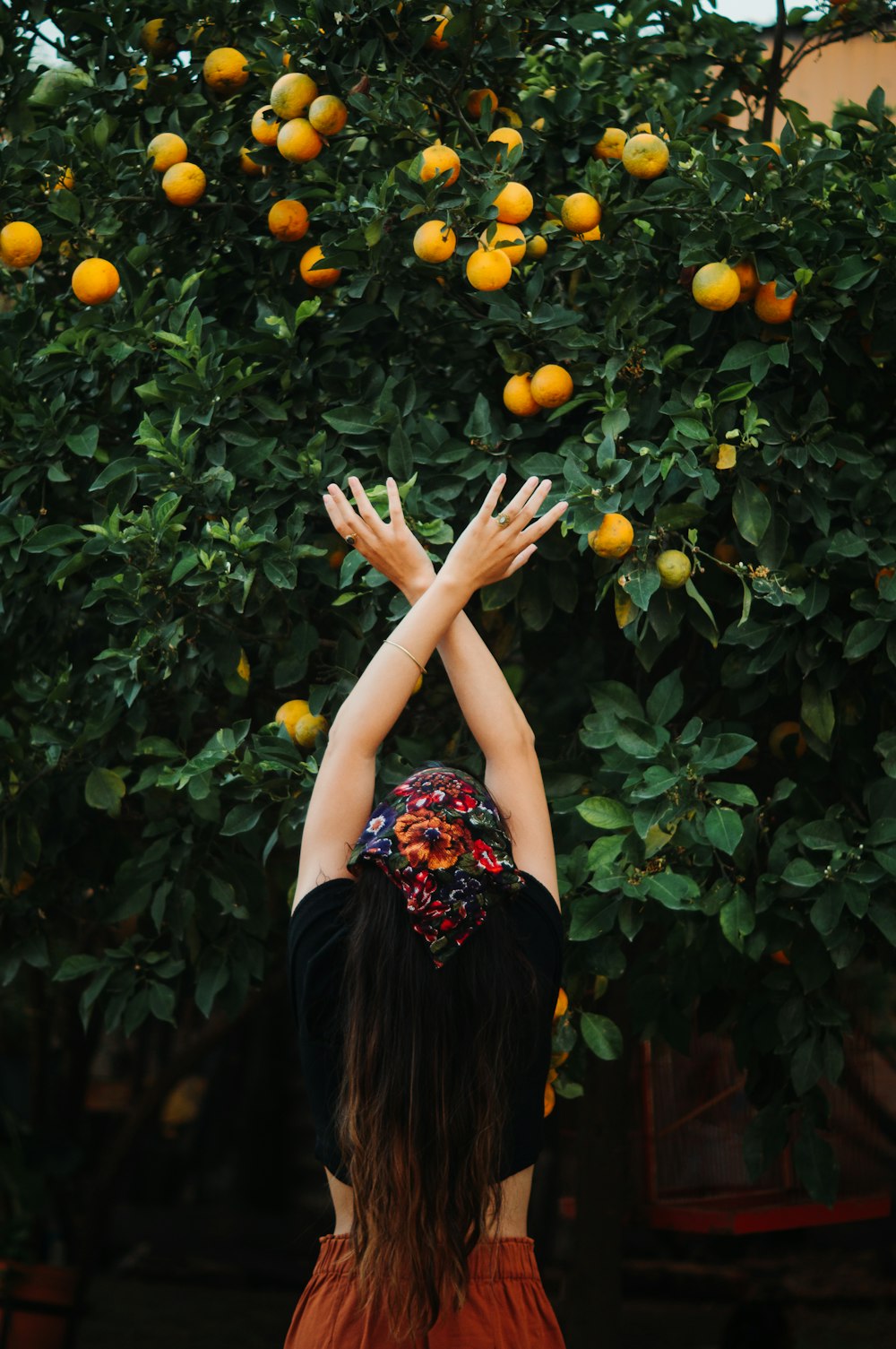 a woman standing in front of a tree with oranges on it