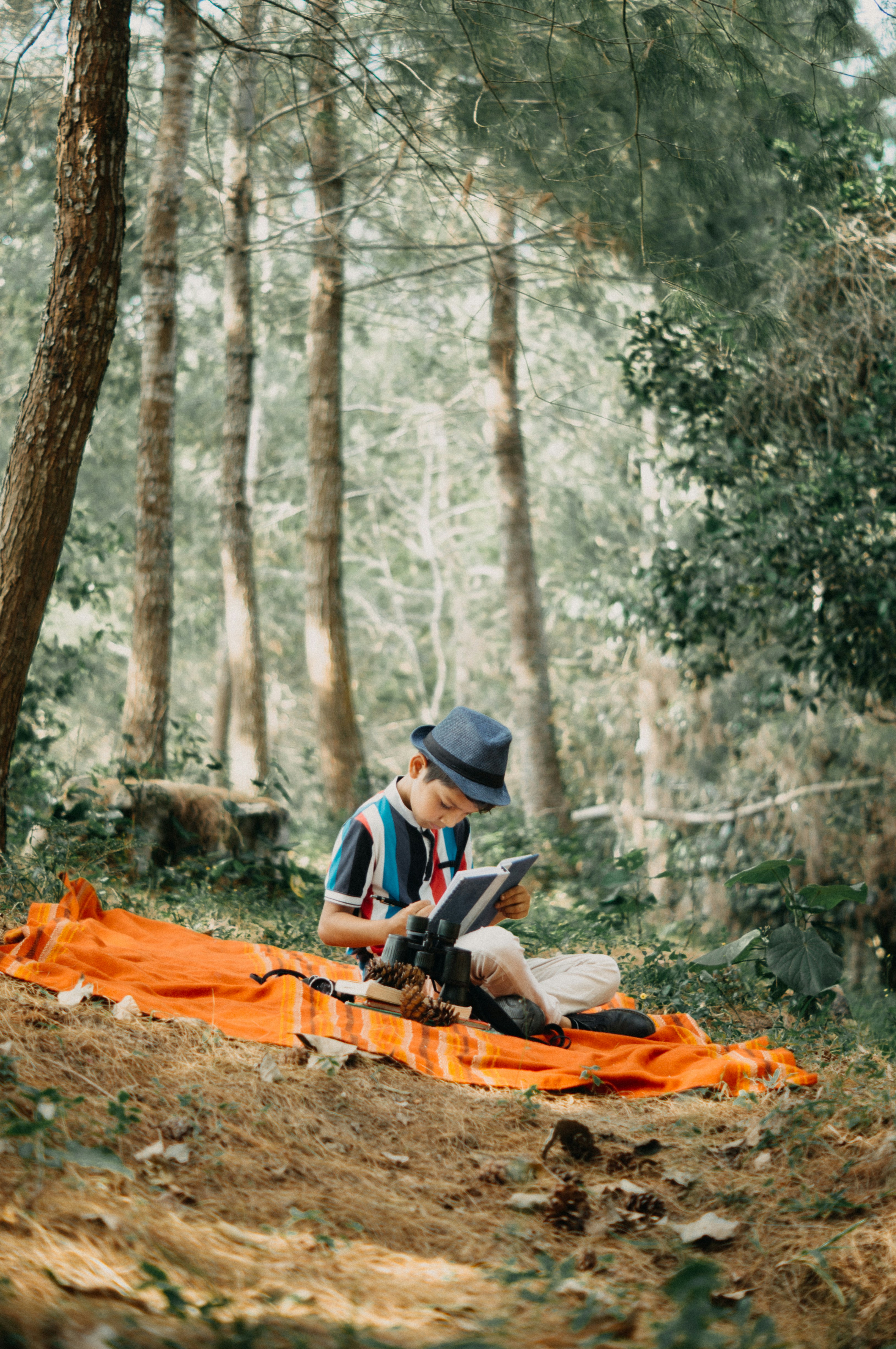 a man sitting on a blanket in the woods with a laptop