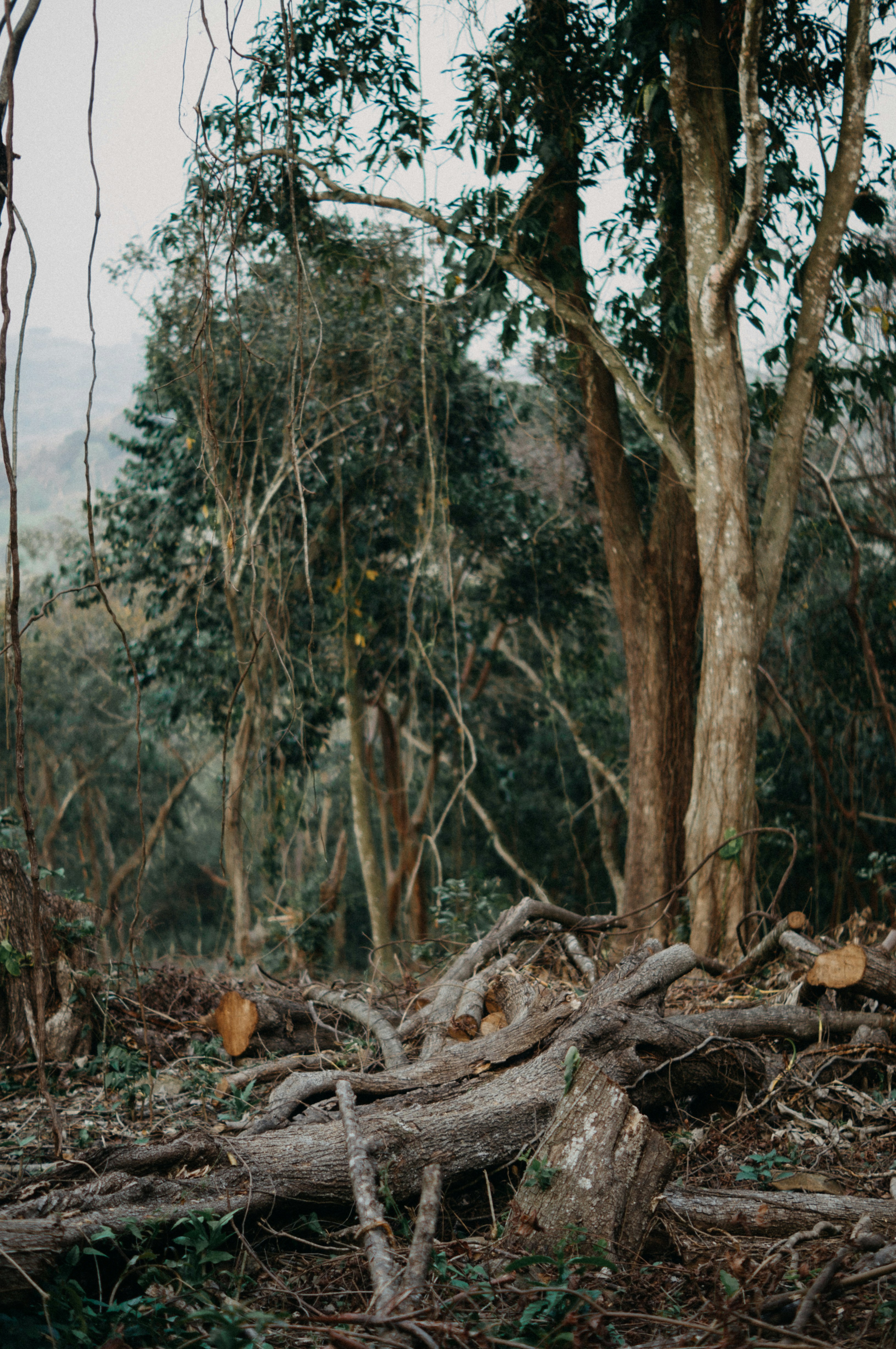 Photo by milo_contreras