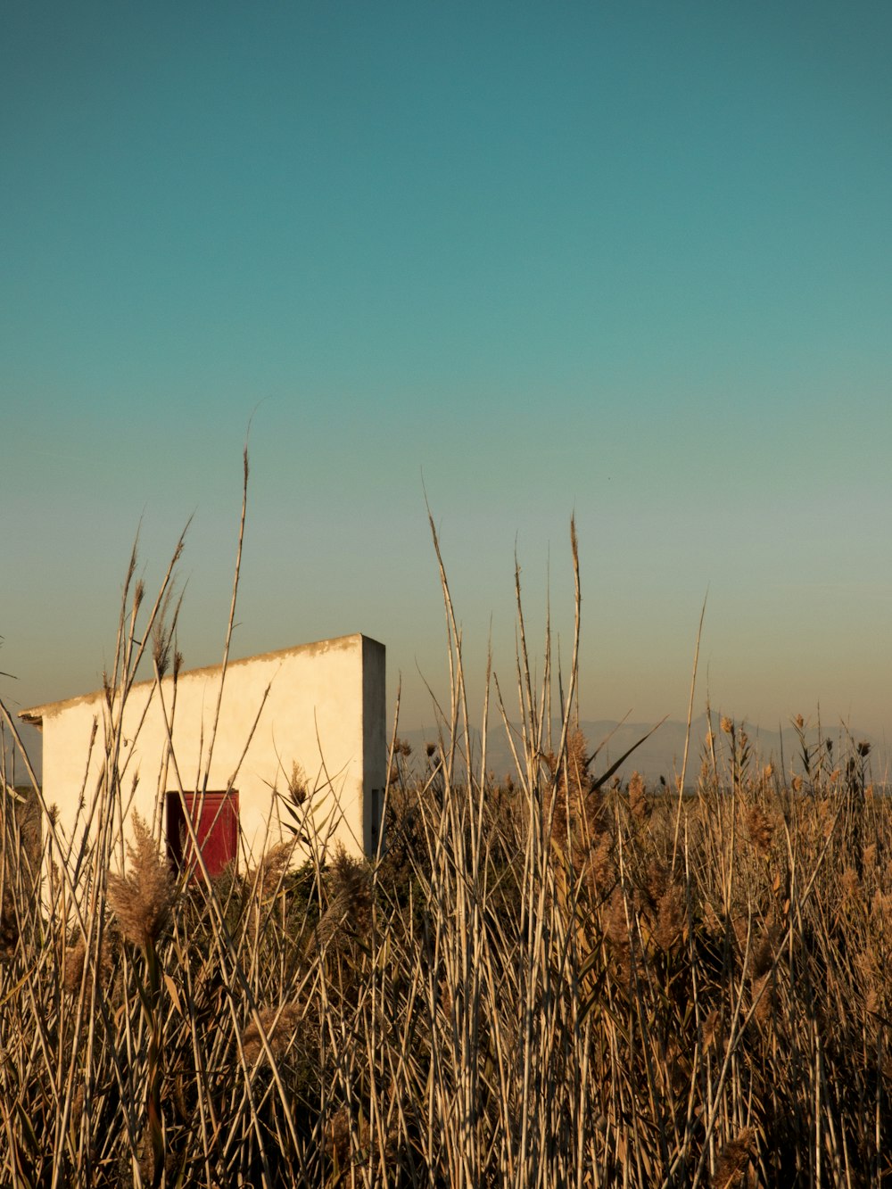 Un edificio blanco en un campo