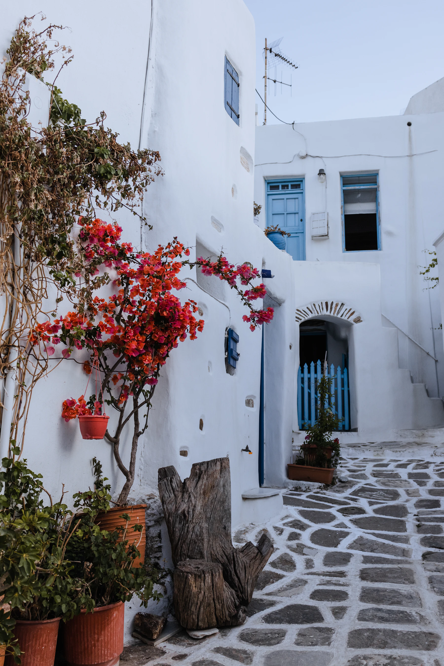 Patio residencial con plantas y paredes blancas