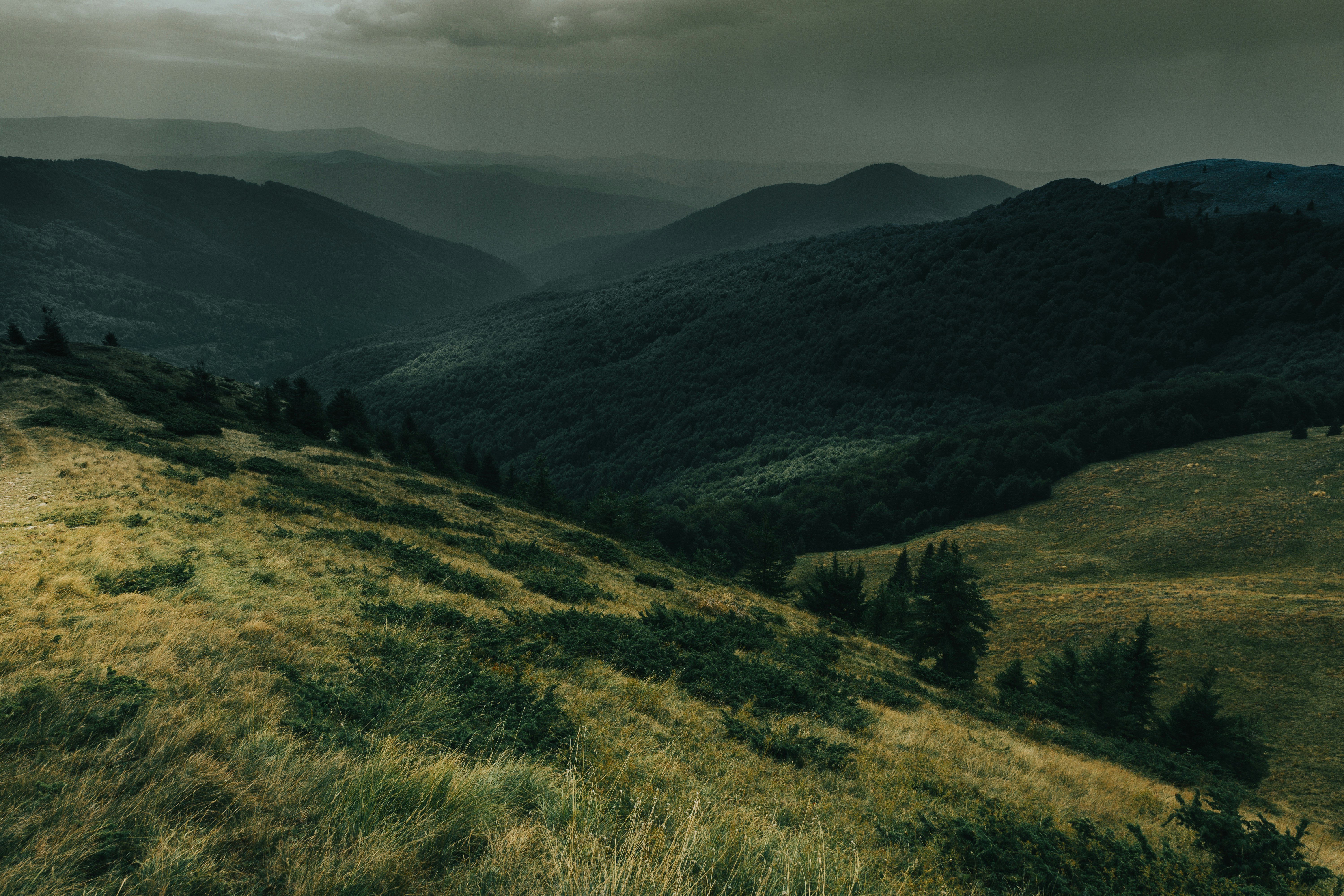 Photo by androwv