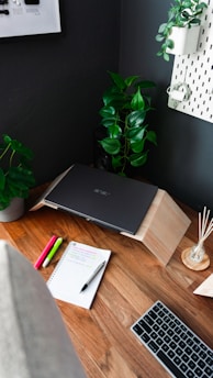 A serene workspace with natural elements, including plants and a laptop, symbolizing a healthy lifestyle.