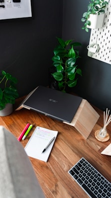 Tidy workspace with organized files and a small potted plant.