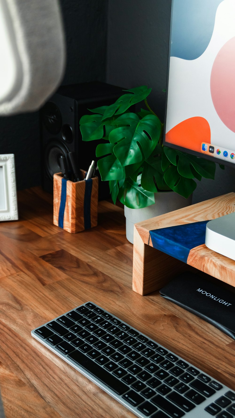 a plant on a desk