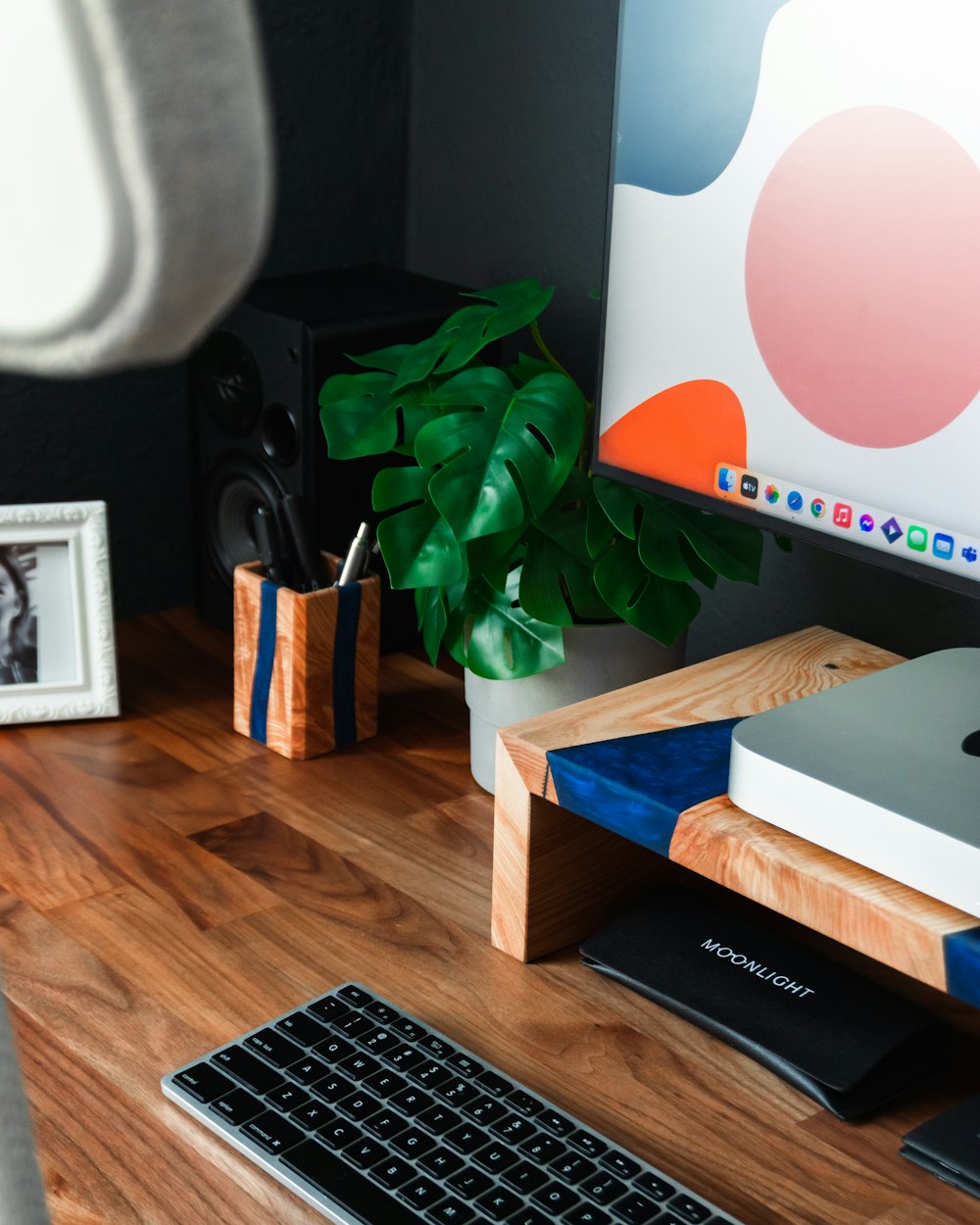 a plant in a pot on a desk