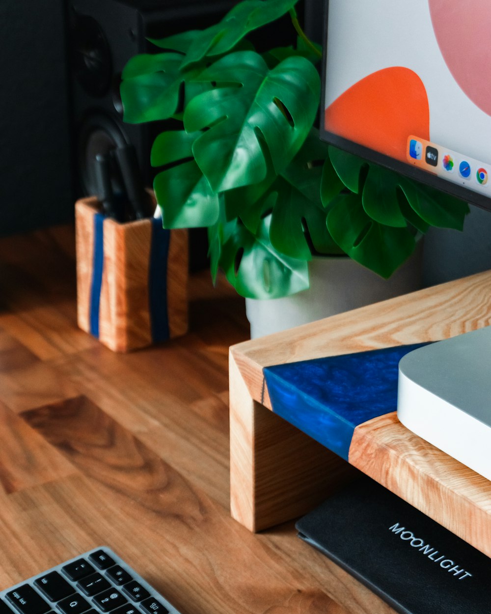 a plant on a desk