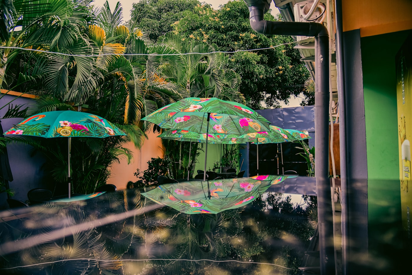 A scenic view of the Congo River Basin