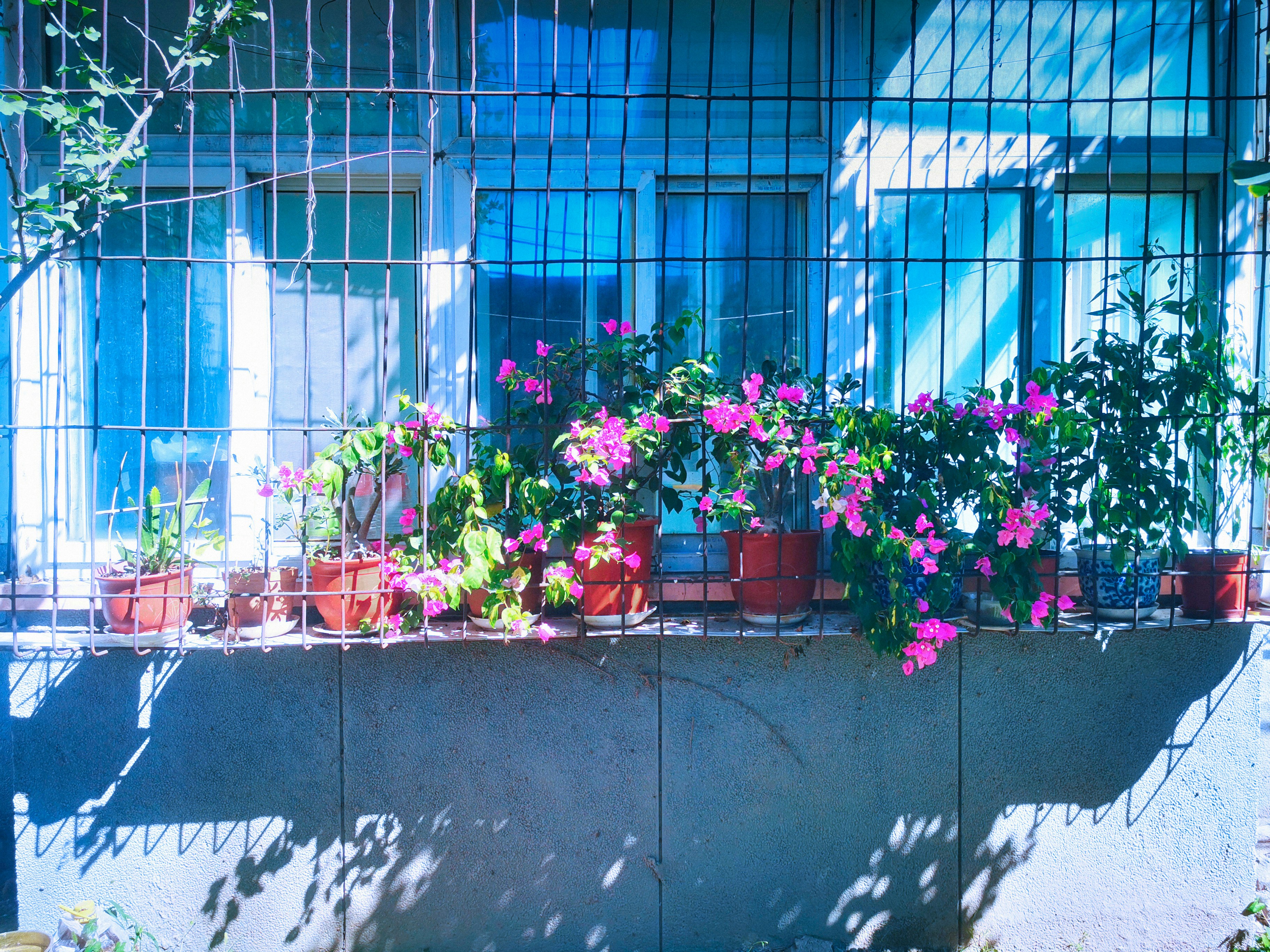 Photo by sakyamel
