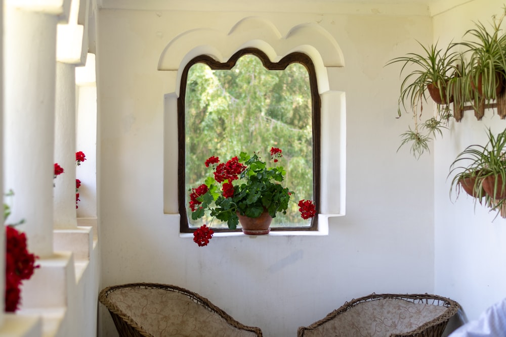 a window with flowers in it