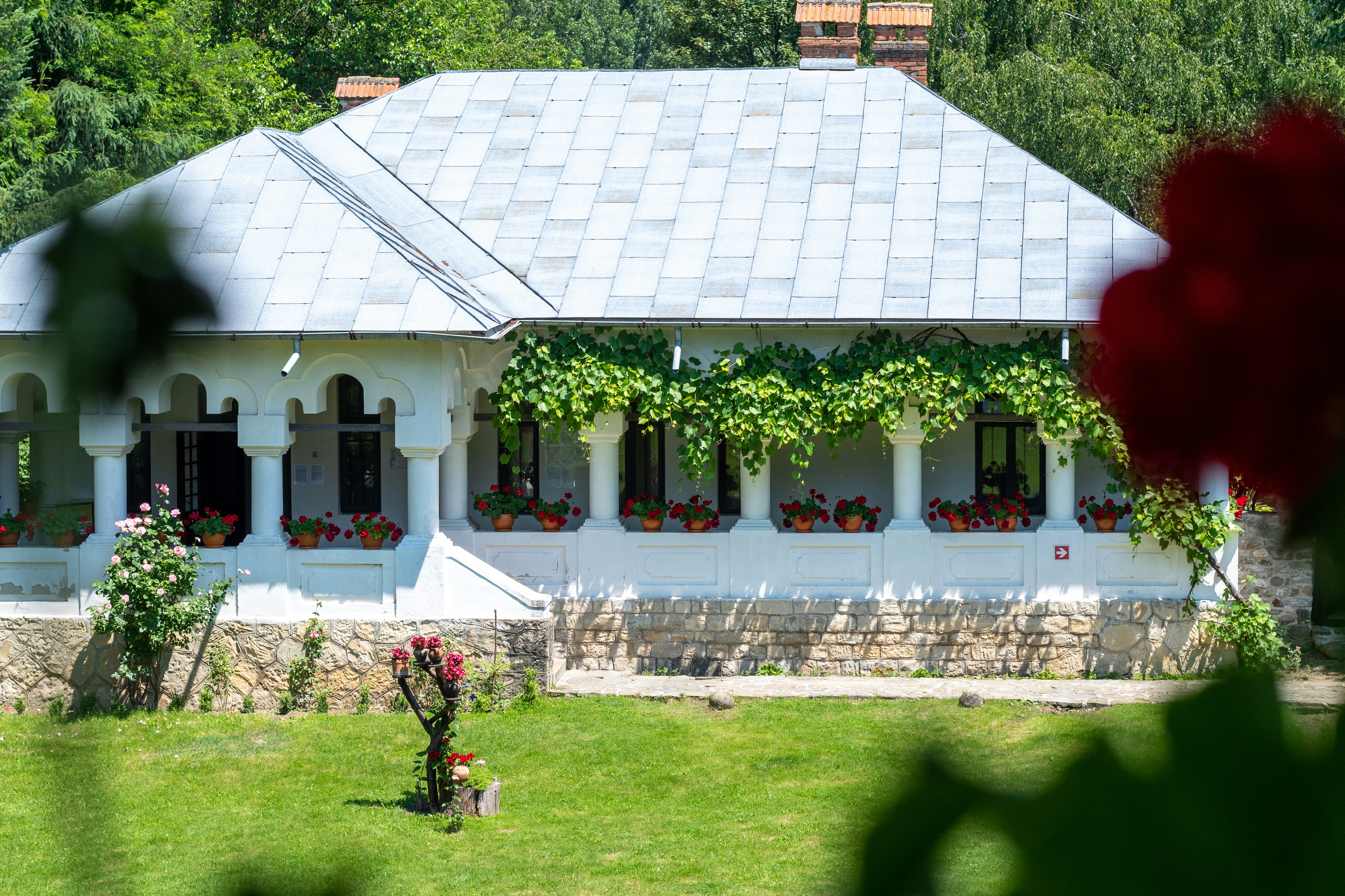 a house with a grass yard