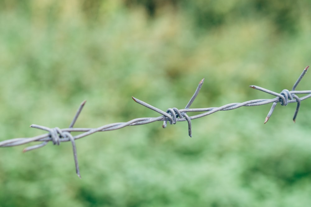 a close up of a barbed wire