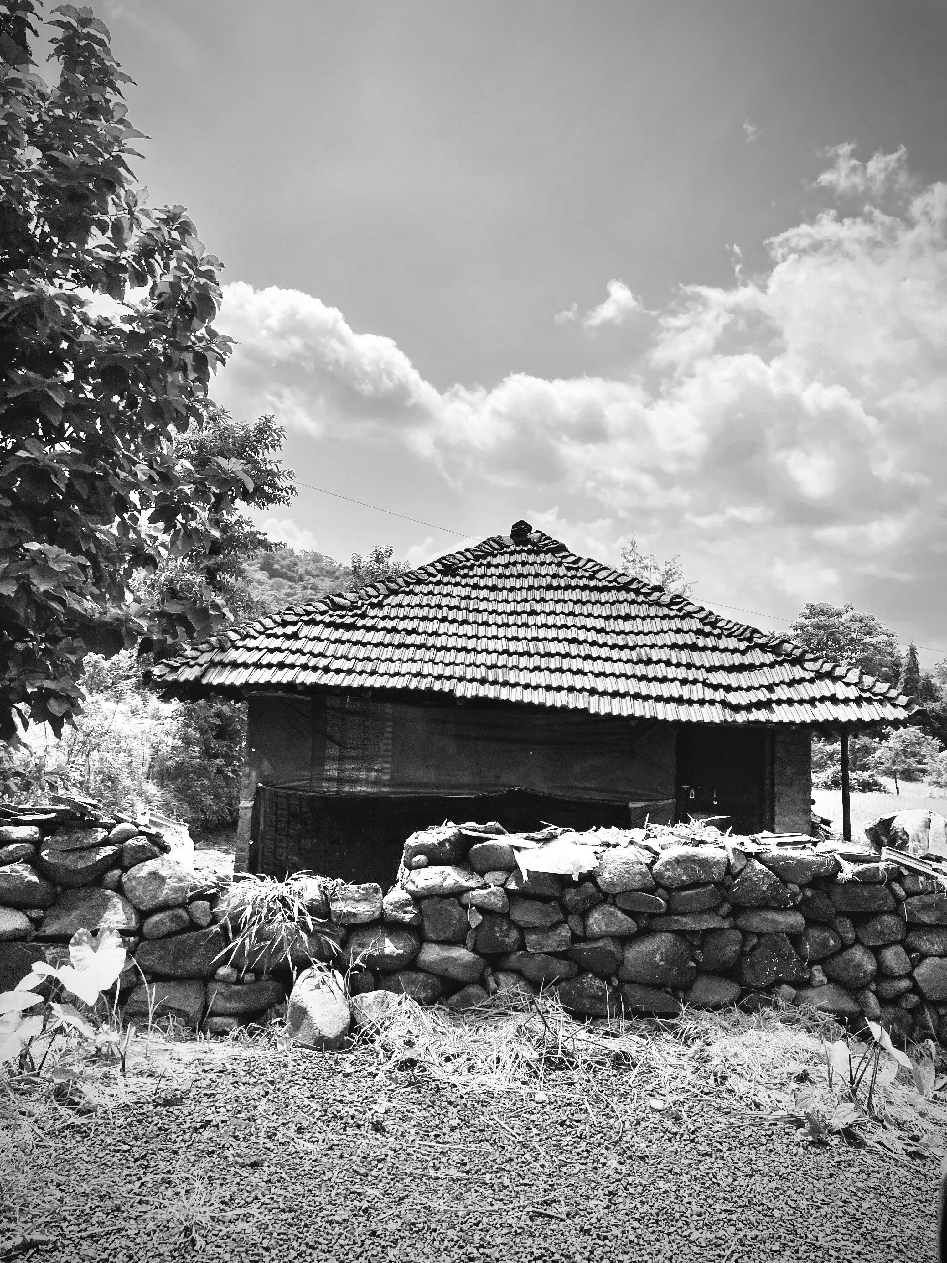 Photo by vedvatikarandikar