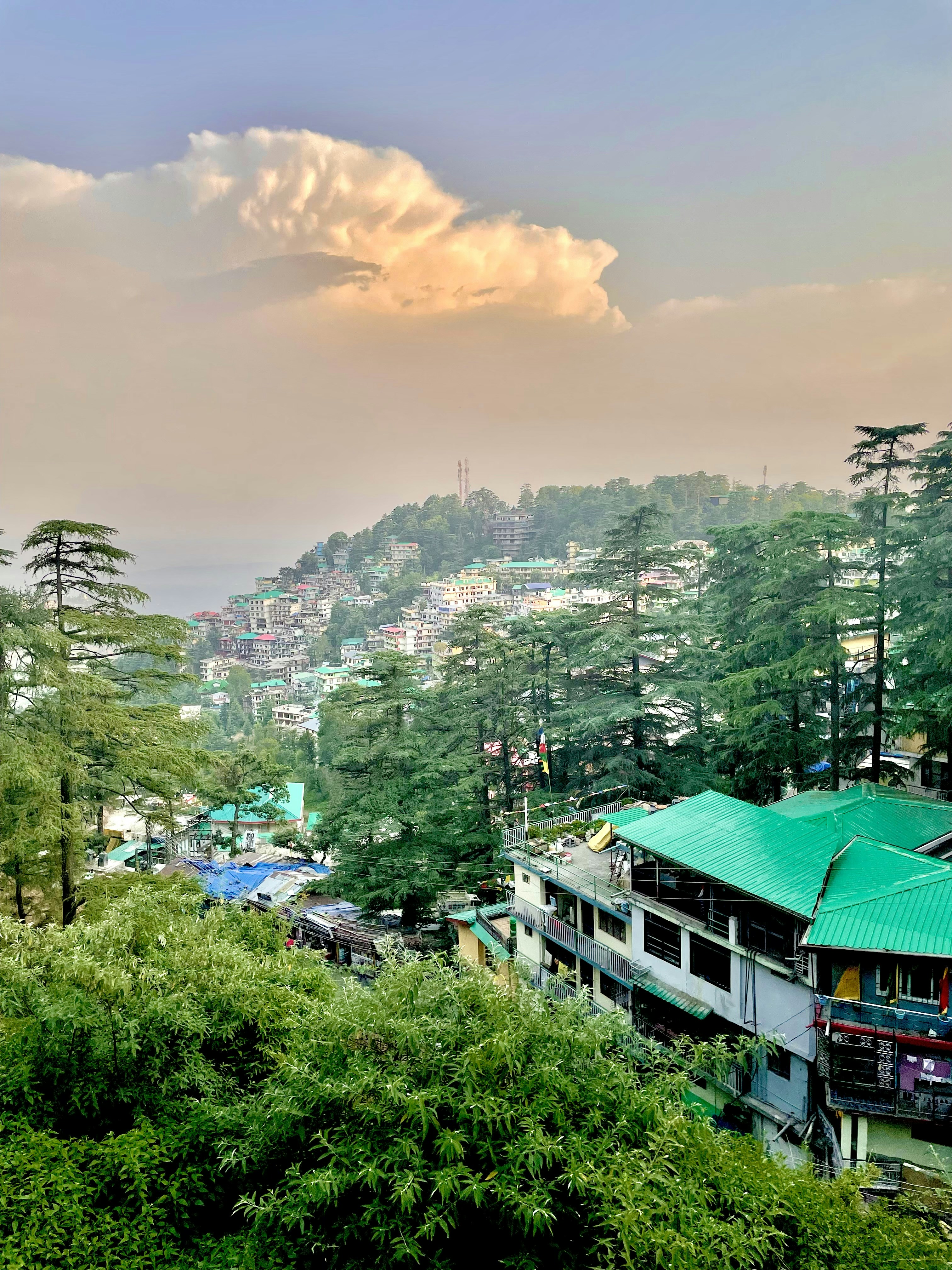 Photo by vedvatikarandikar