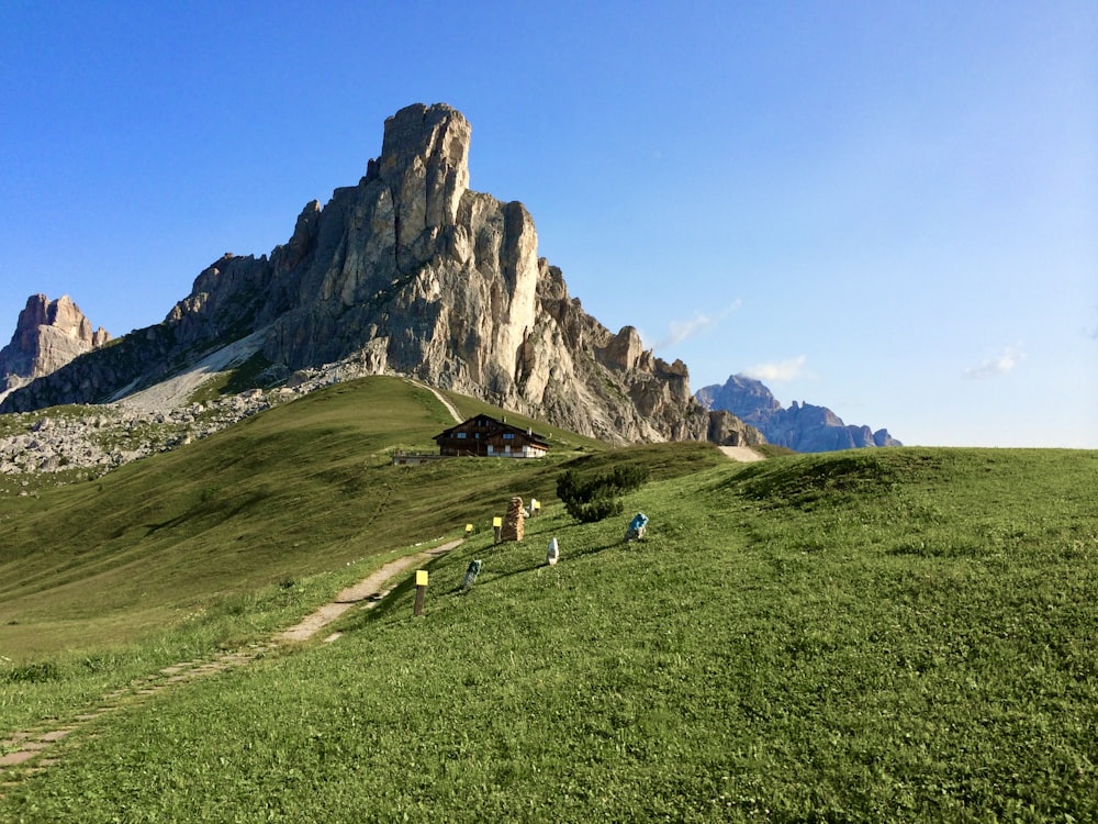 a grassy hill with Dolomites on it and a mountain in the background