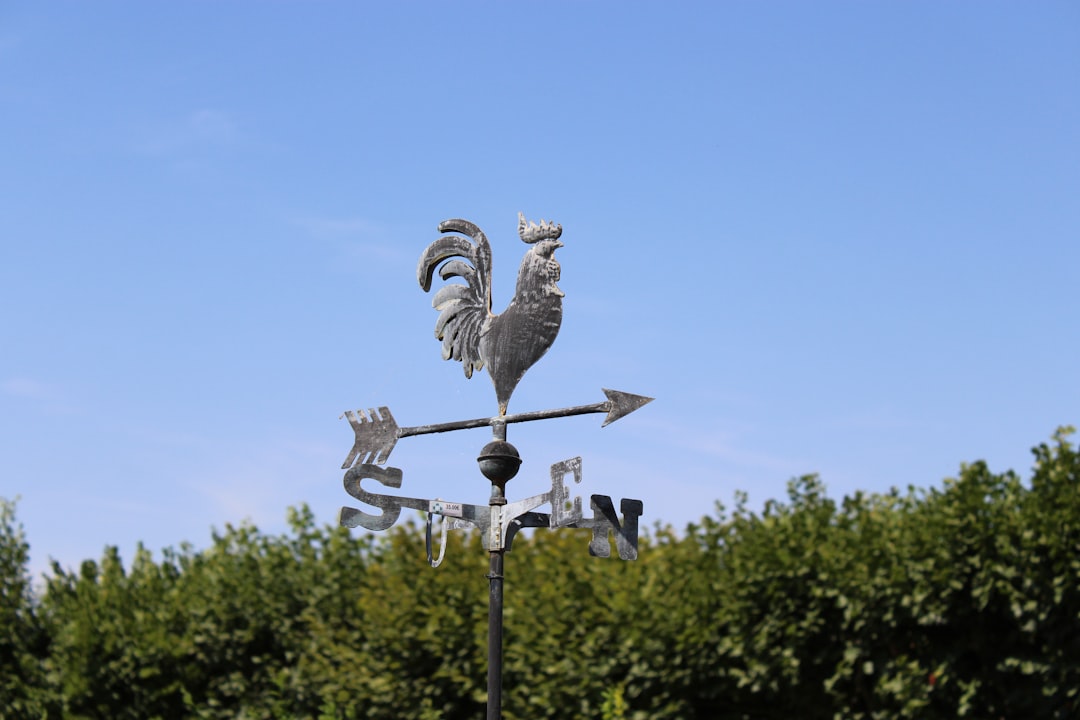 a statue of a bird on a street light,