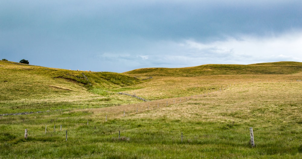 a grassy hill with a fence