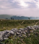 a grassy field with rocks and a fence