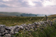 a grassy field with rocks and a fence
