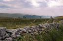 a grassy field with rocks and a fence