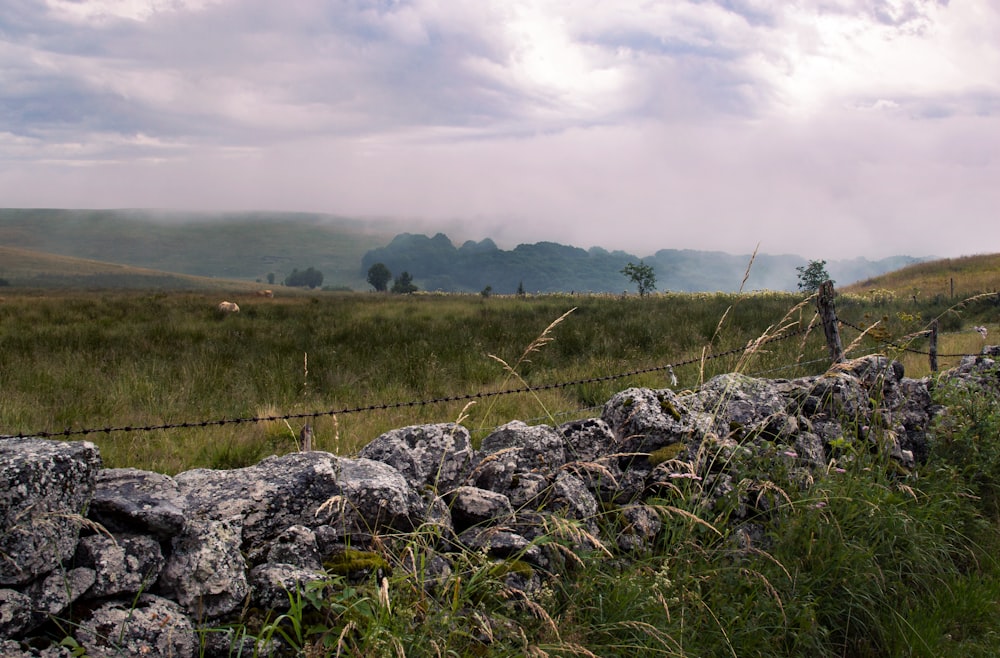 un campo de hierba con rocas y una cerca