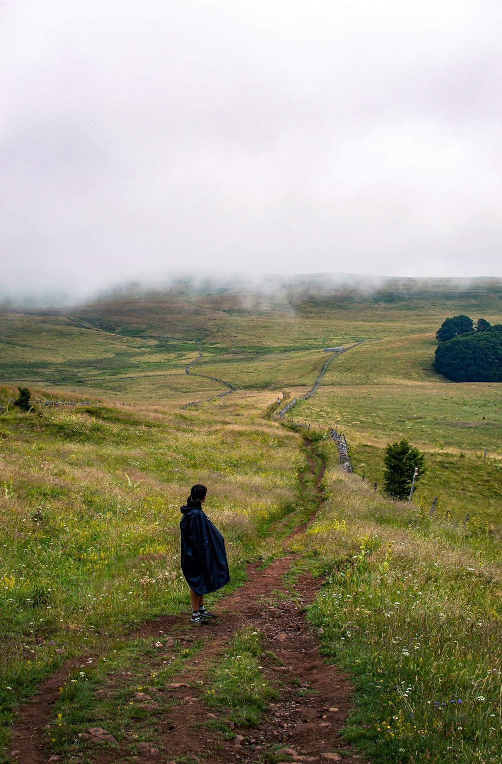 una persona caminando por un camino de tierra en un campo
