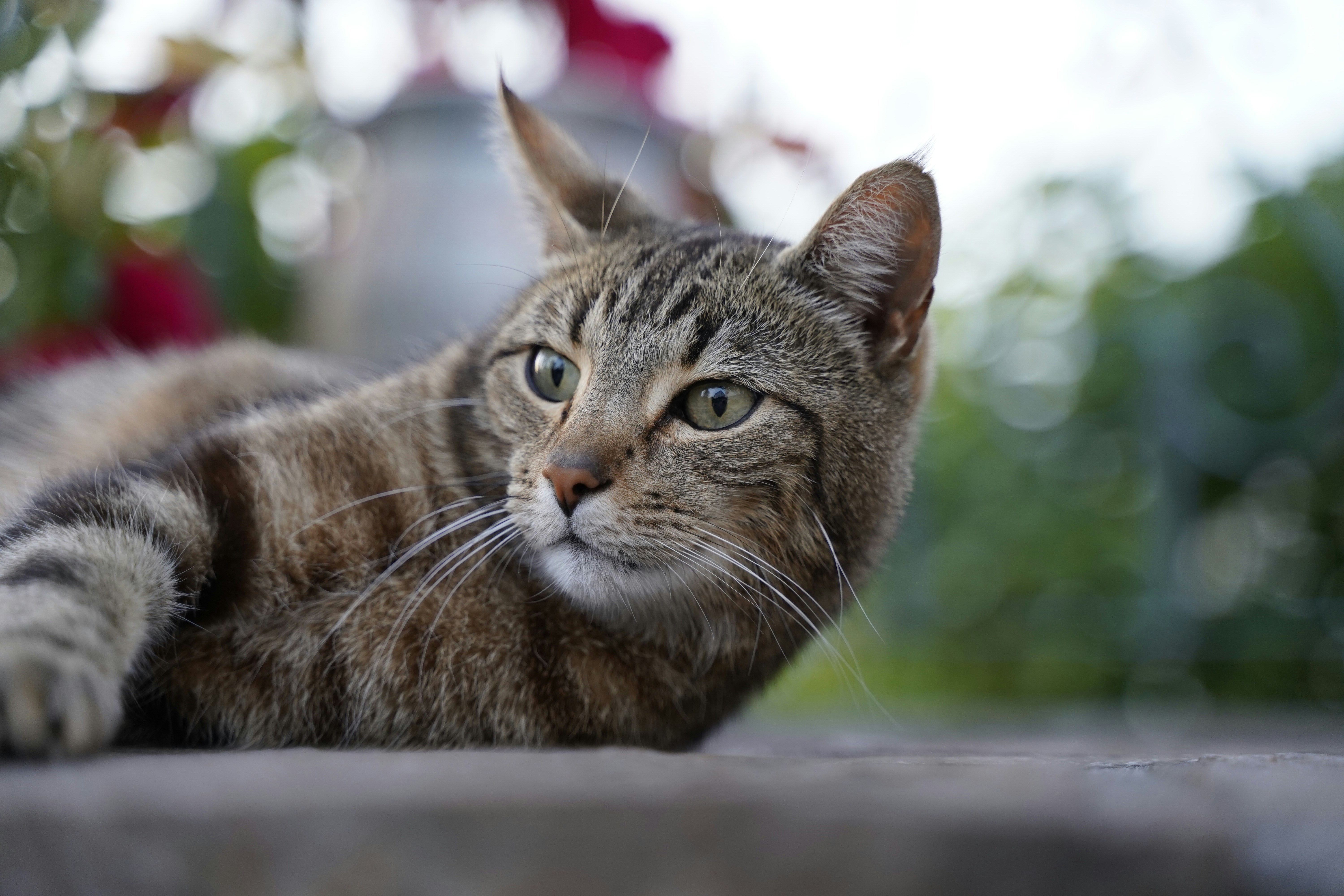 Photo by kuhantilope