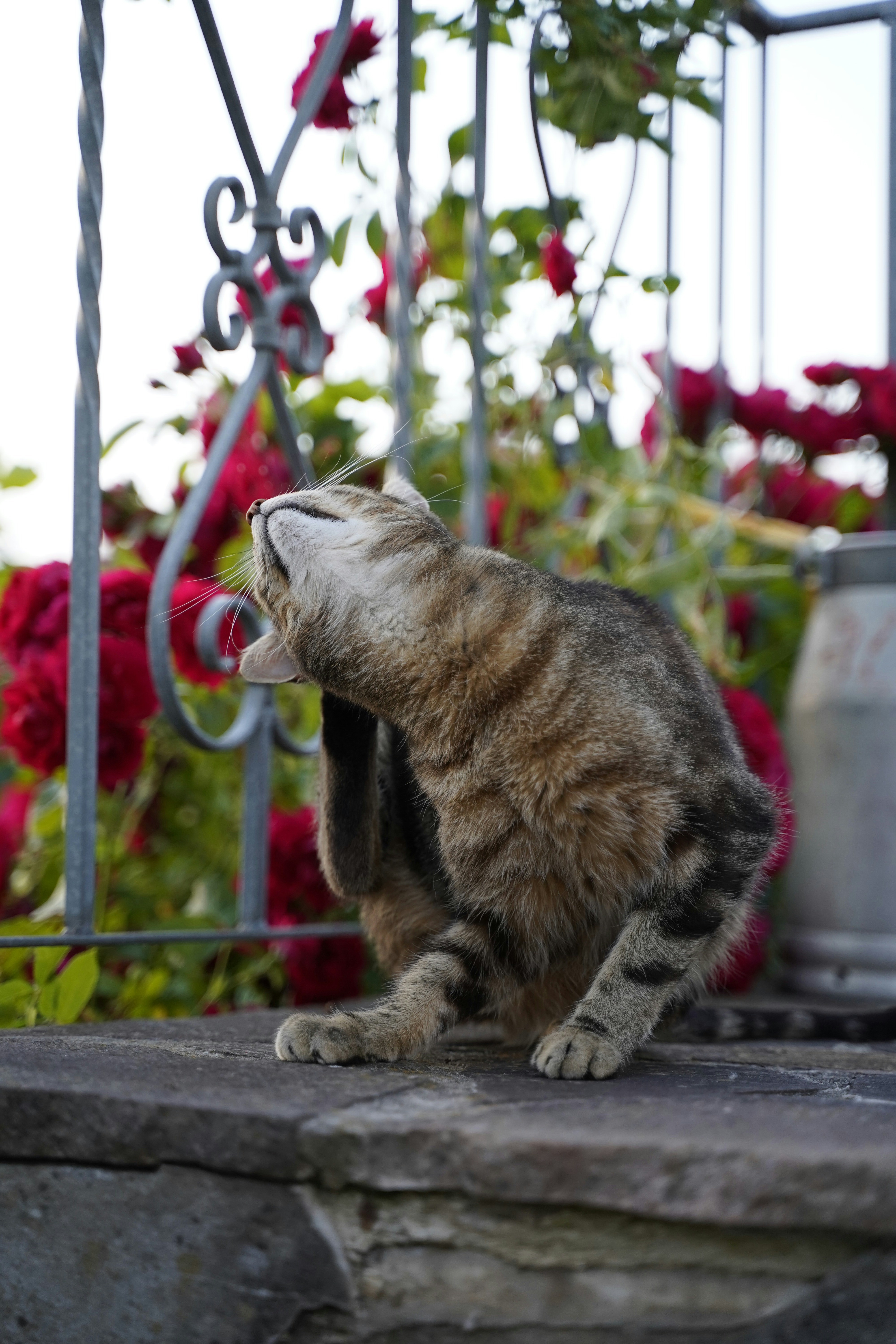 Managing Health and Comfort (image credits: unsplash)