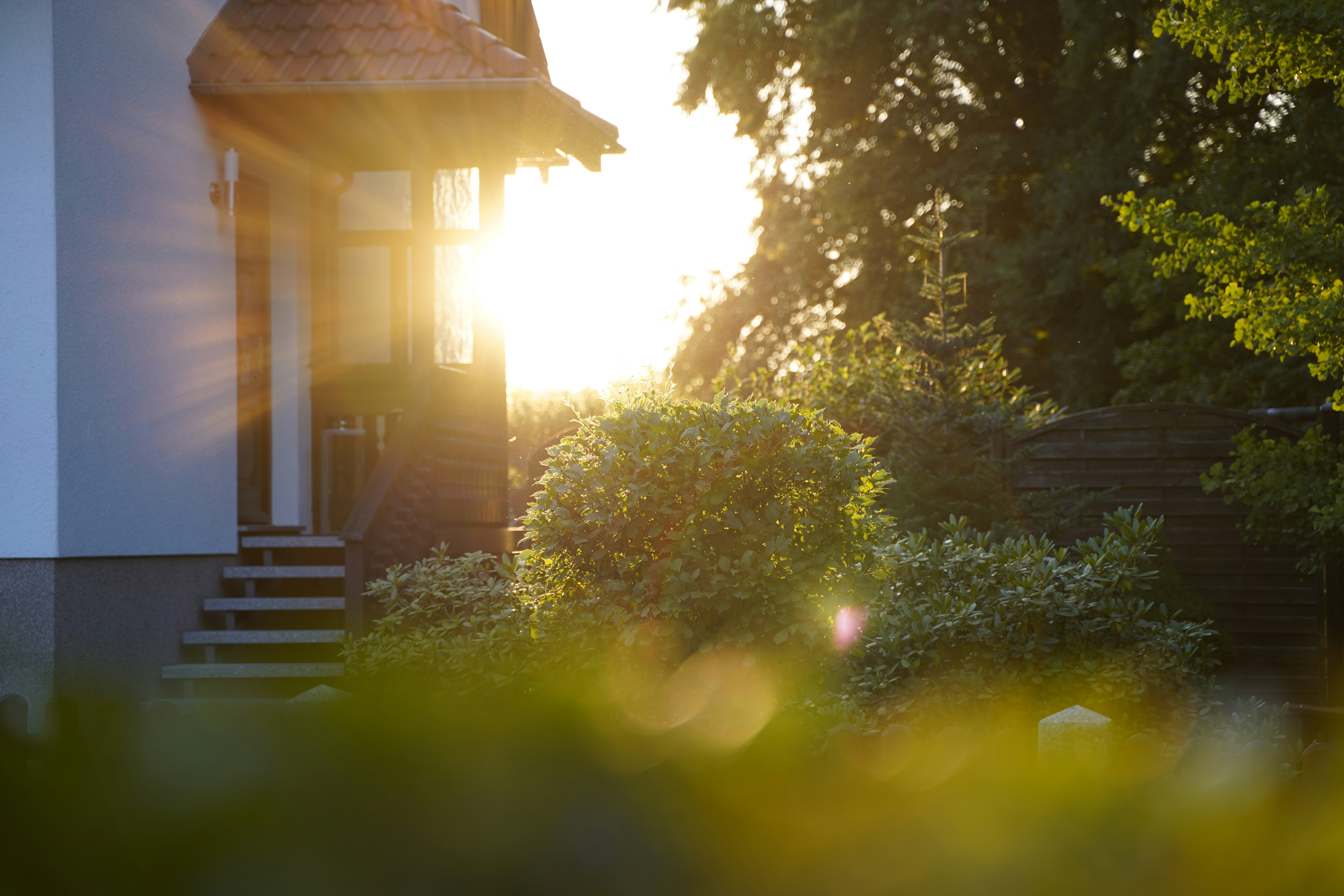 Une maison avec des arbres et des buissons autour photo Photo