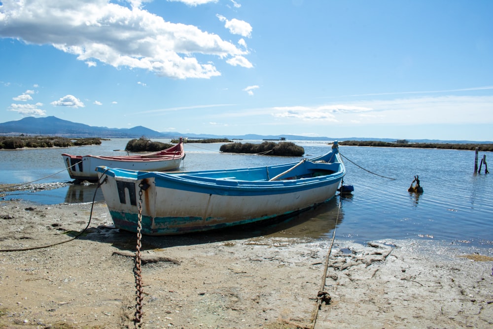 boats tied to a dock