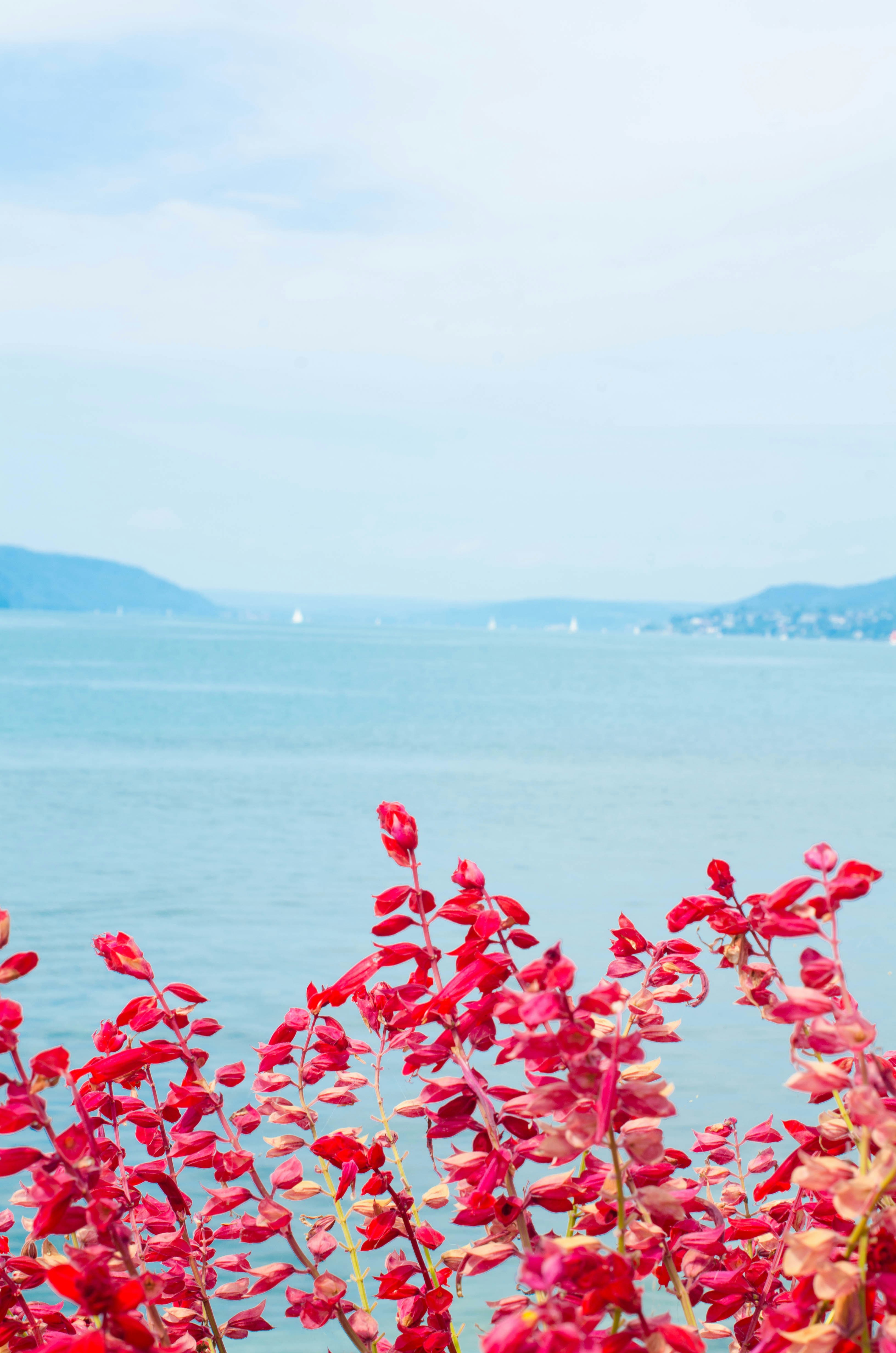 Photo by nika_benedictova