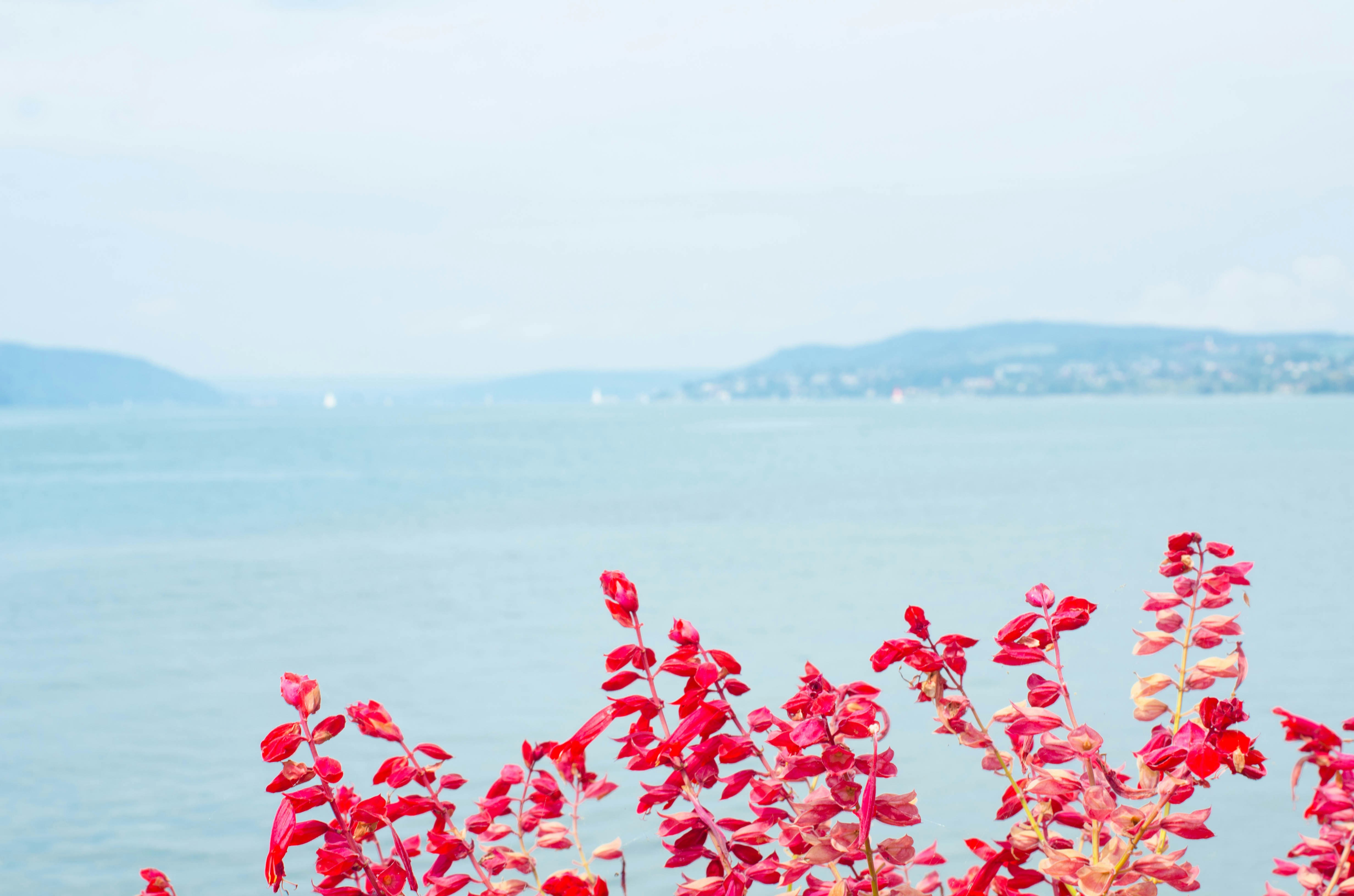 Photo by nika_benedictova