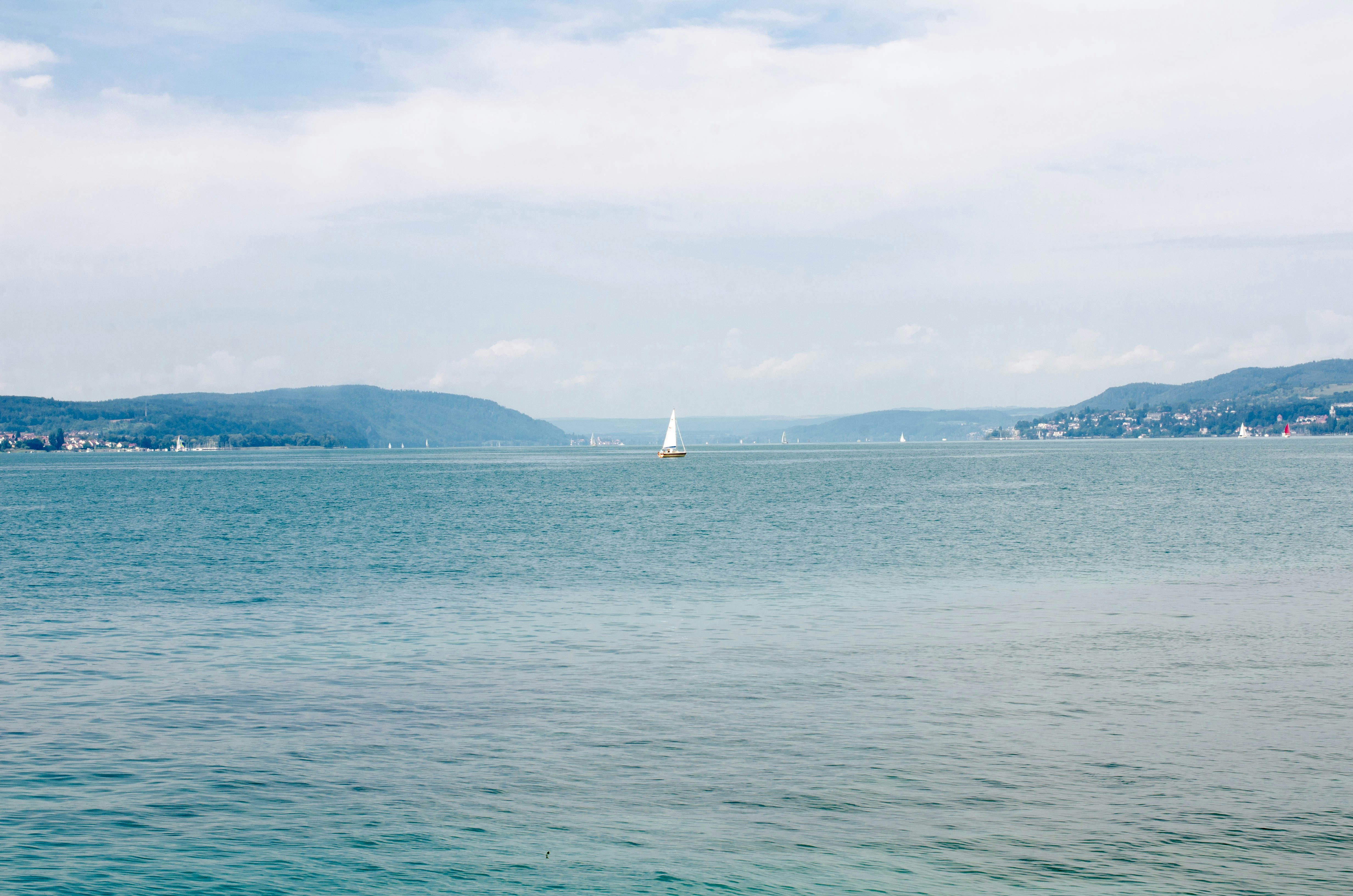 Photo by nika_benedictova