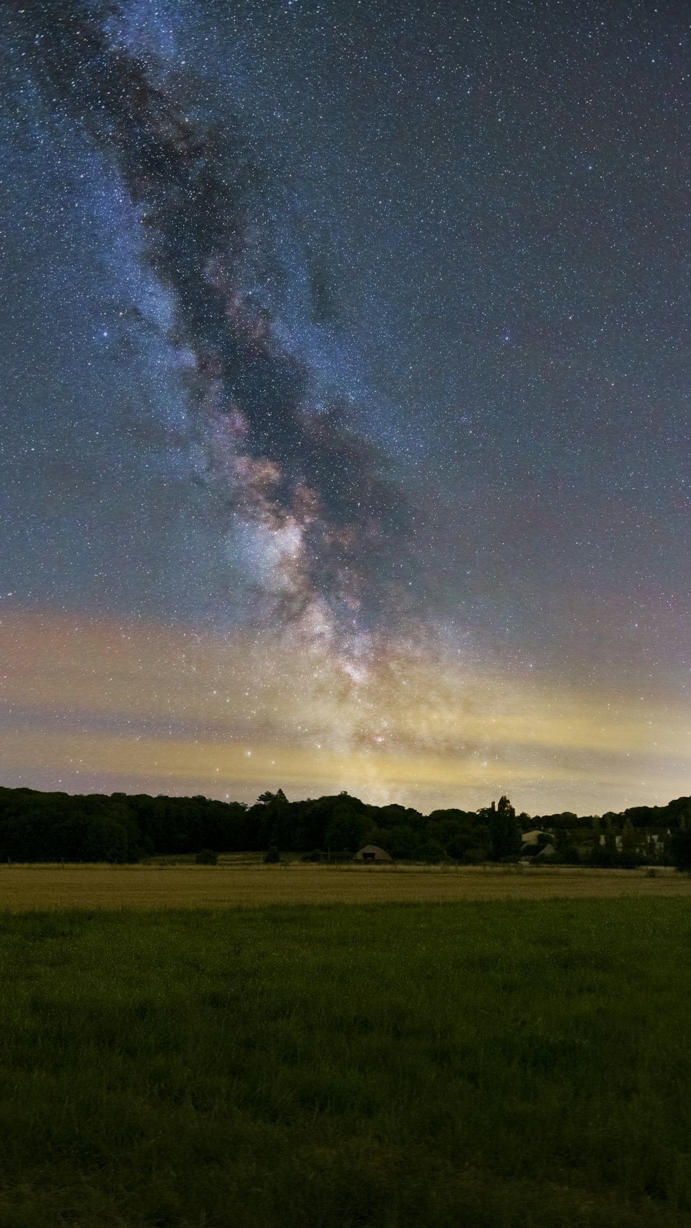 a field with trees and a starry sky above