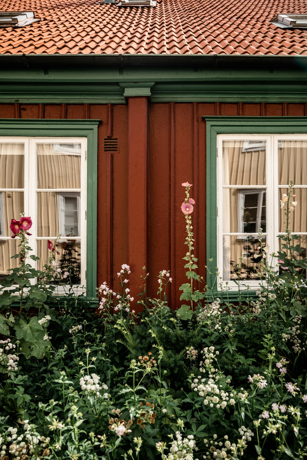 a green house with white flowers