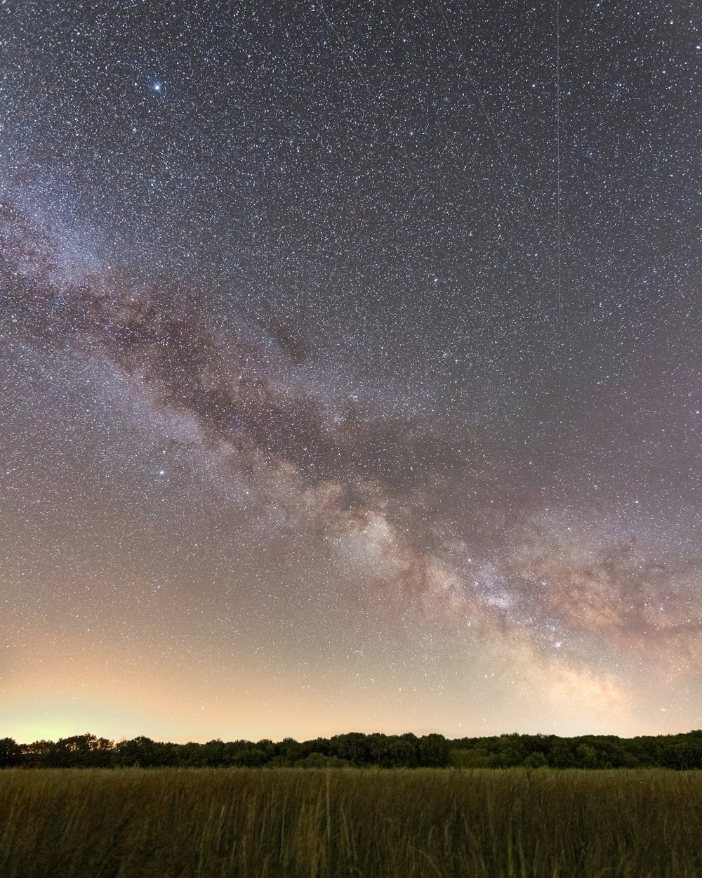 a field with trees and stars in the sky