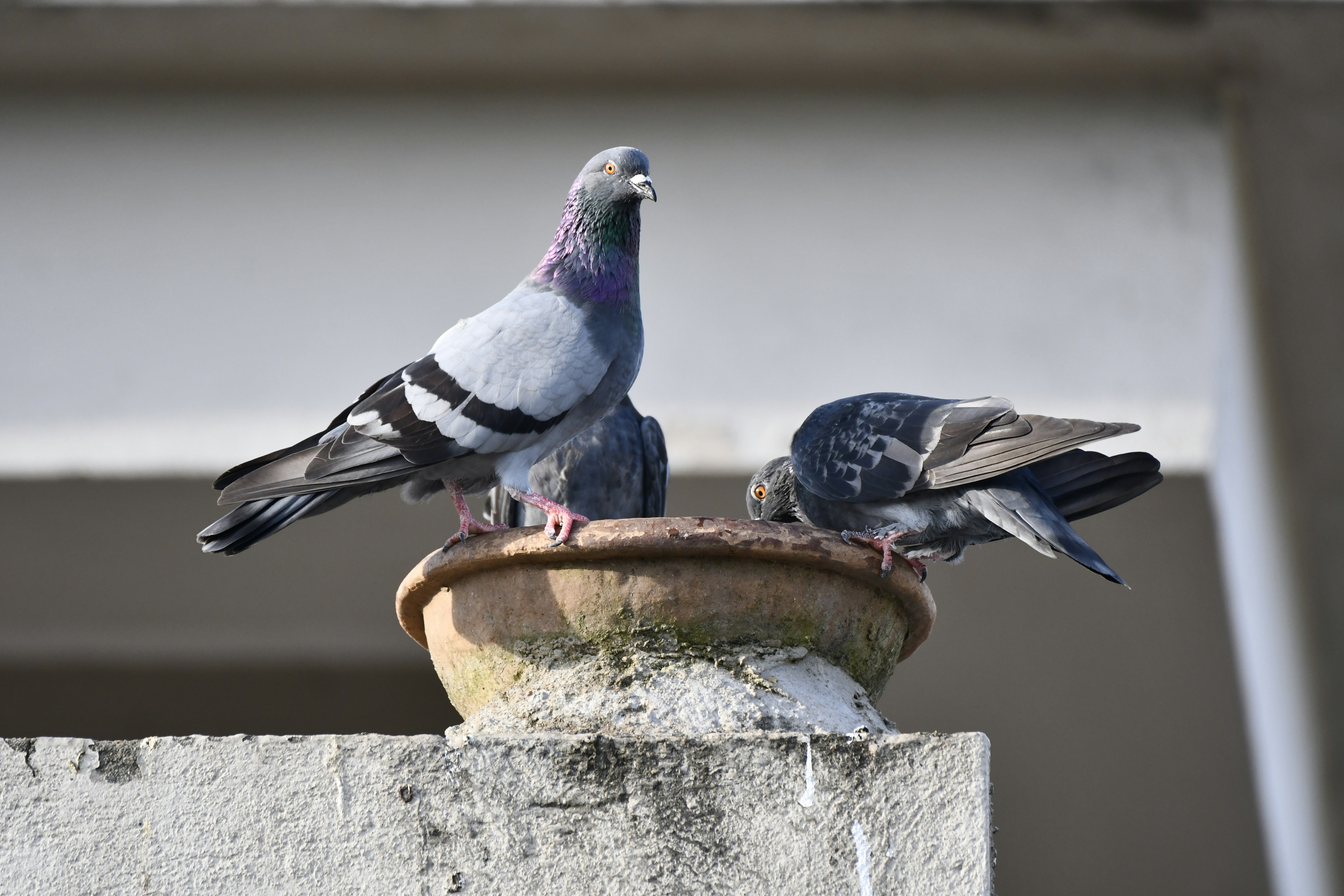 Photo by wrishi2004m