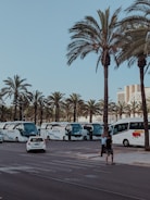 A row of white buses is parked along a street lined with tall palm trees. Two individuals are standing near the buses, and a white car is visible on the road.