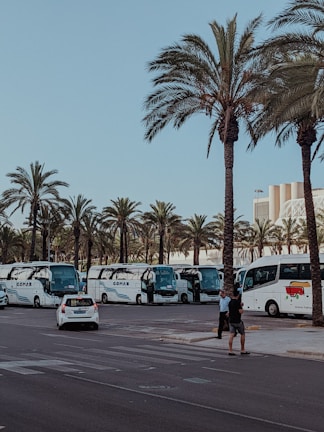 A row of buses lined up at the loading dock, ready for shipment to Africa.