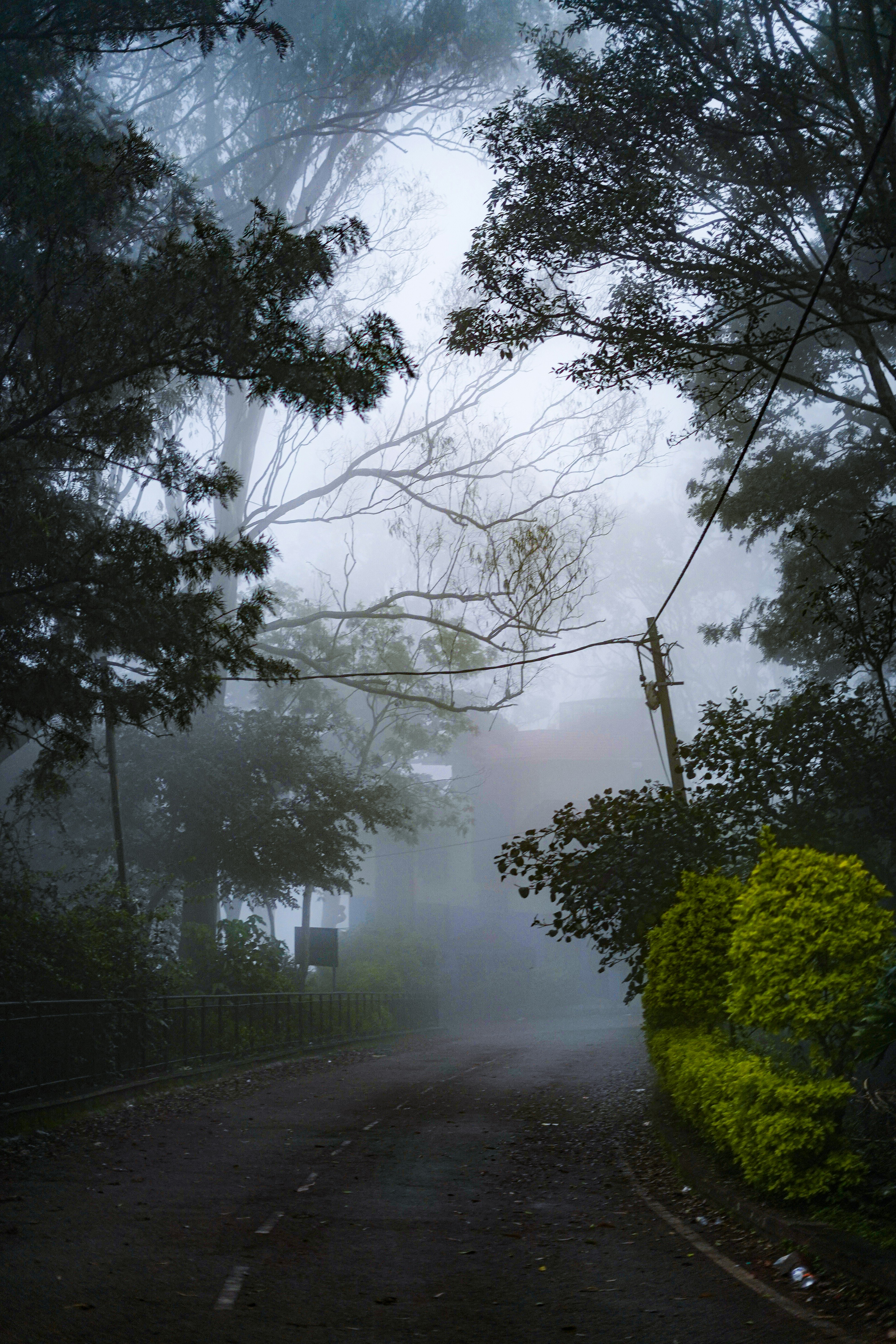 Photo by shyammishra94