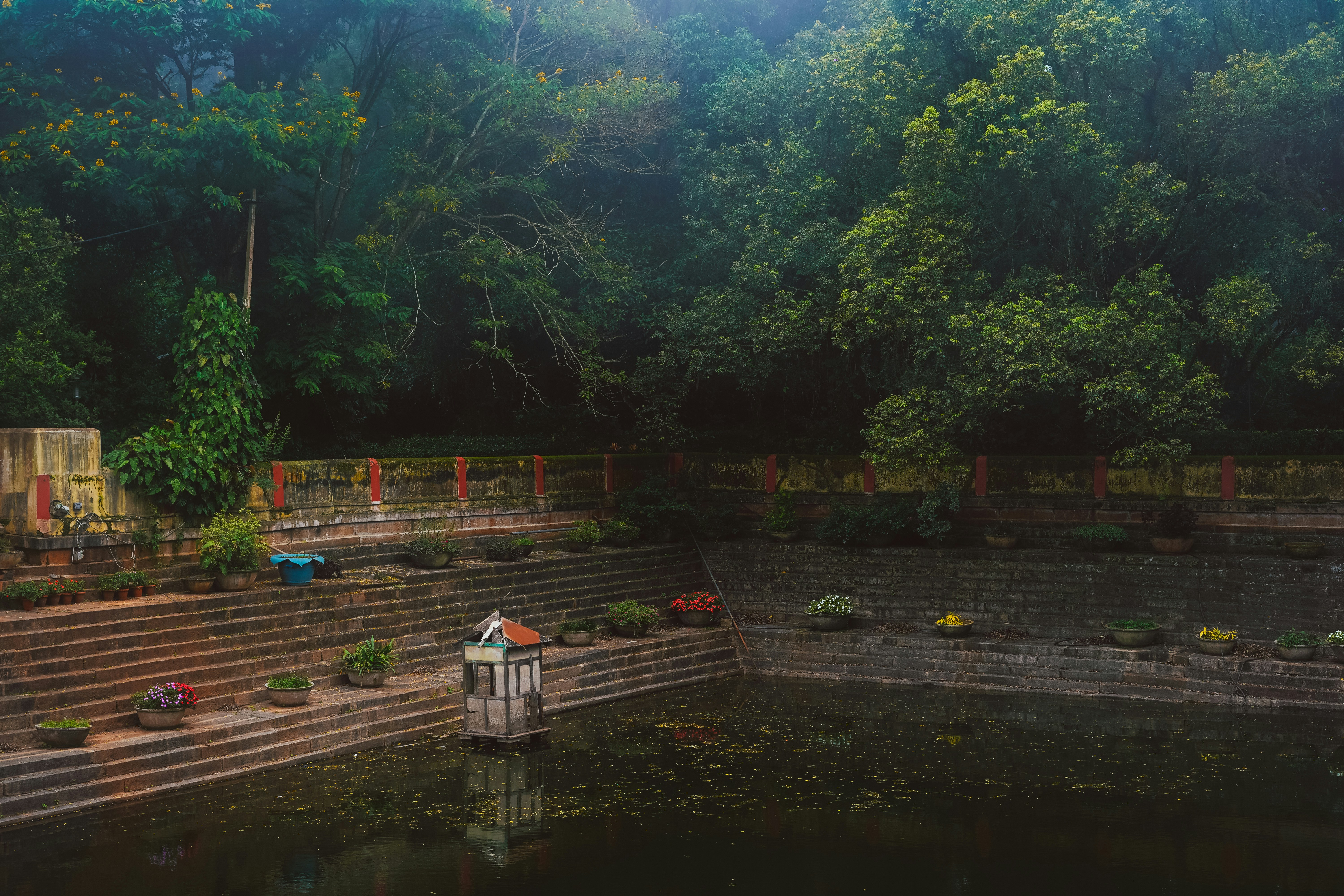 Photo by shyammishra94