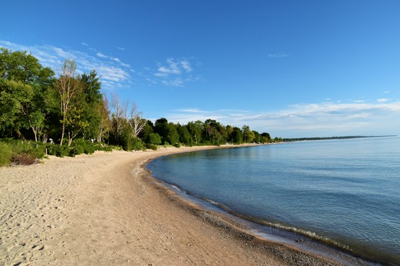 A peaceful beach scene with a gentle curve of sandy shore leading to calm, clear blue waters. The shoreline is lined with lush green trees, some with bare branches, under a bright blue sky dotted with a few clouds. The image exudes tranquility and natural beauty.