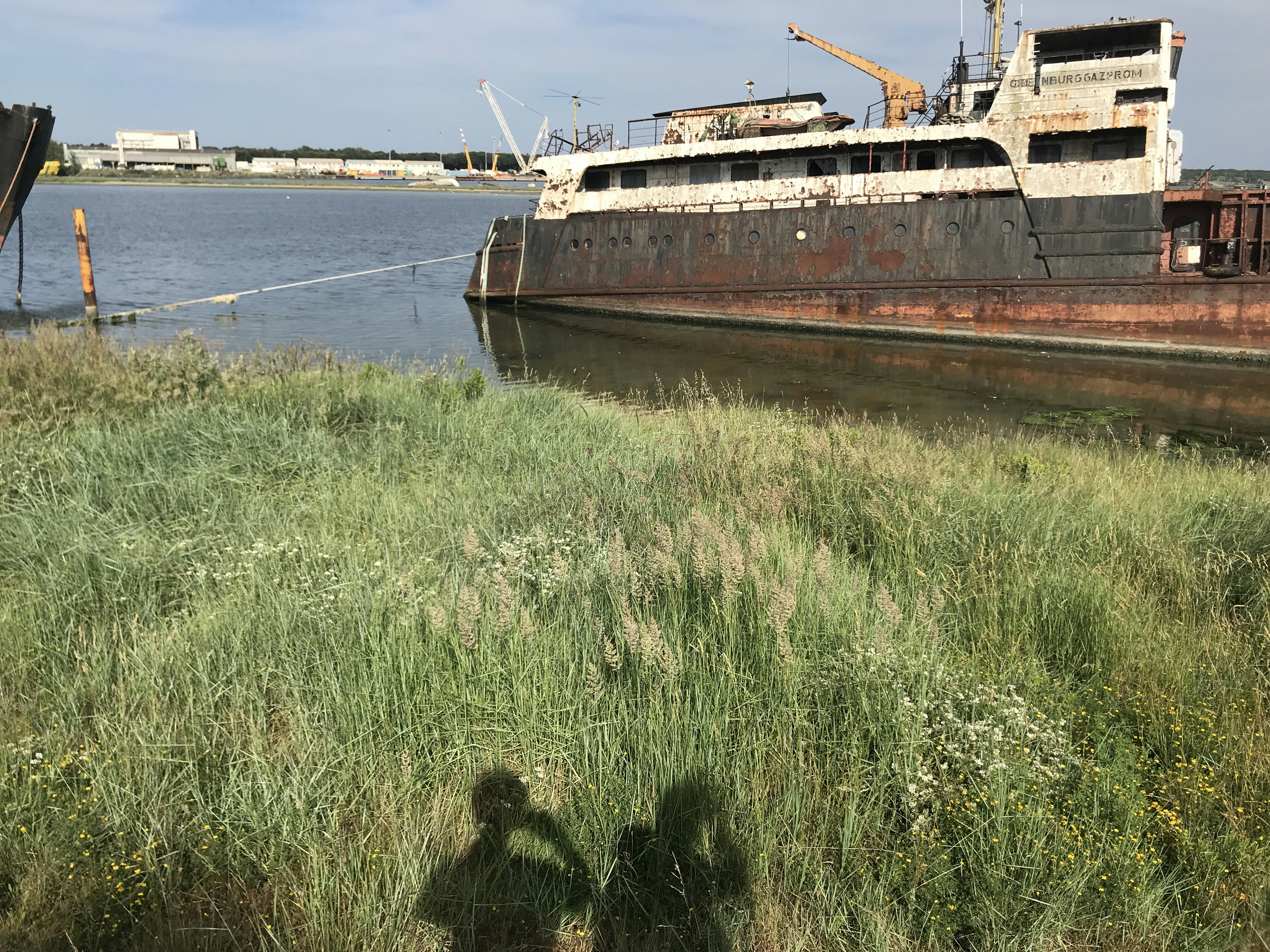 a large ship docked at a port