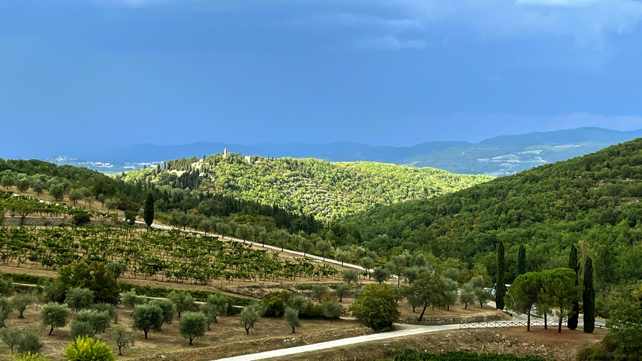 Ιδέες για Επιχείρηση στην Επαρχία (2025): Ο Πλήρης Οδηγός