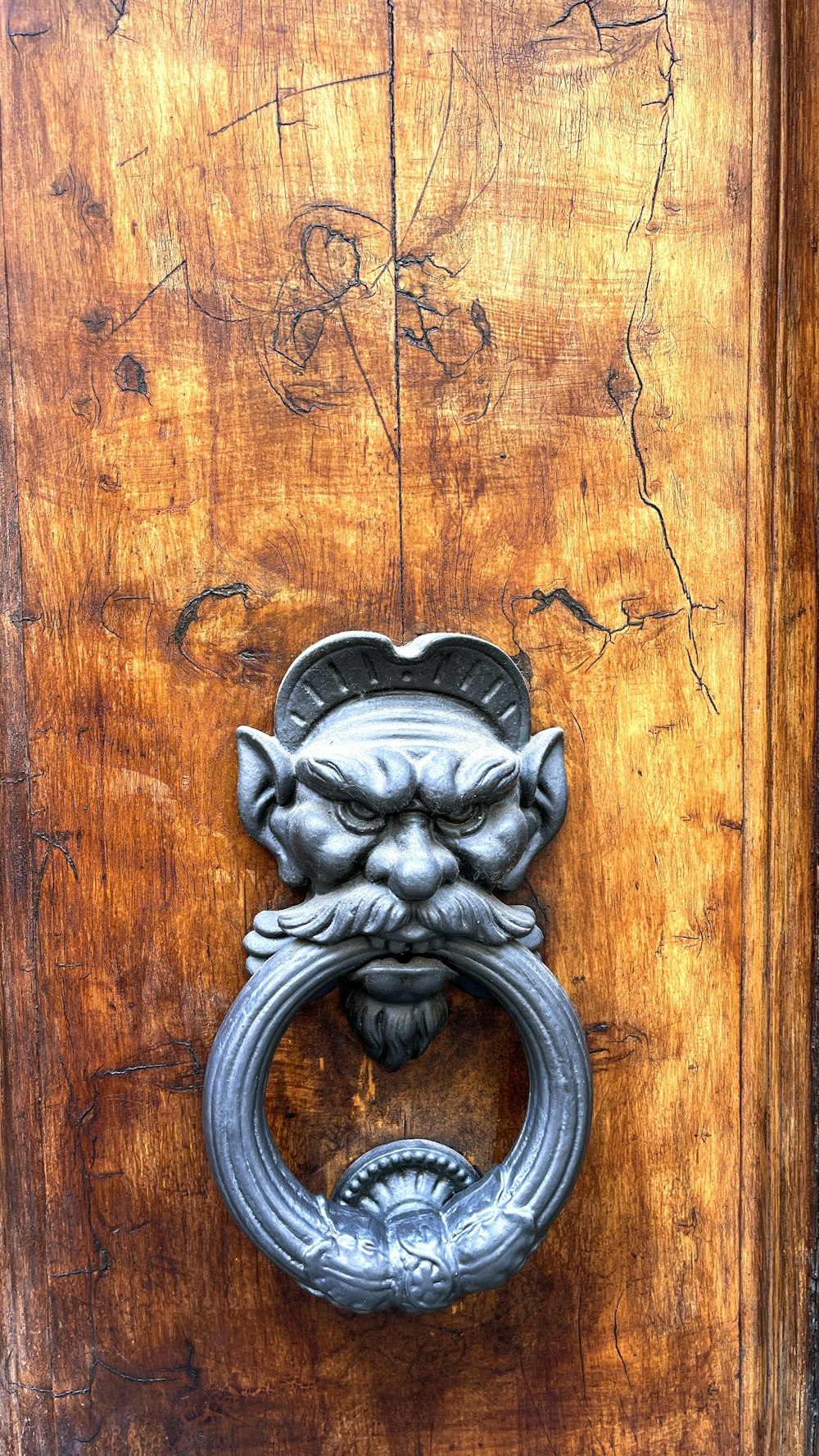a door handle with a skull on it