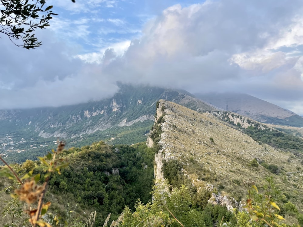 a landscape with trees and mountains