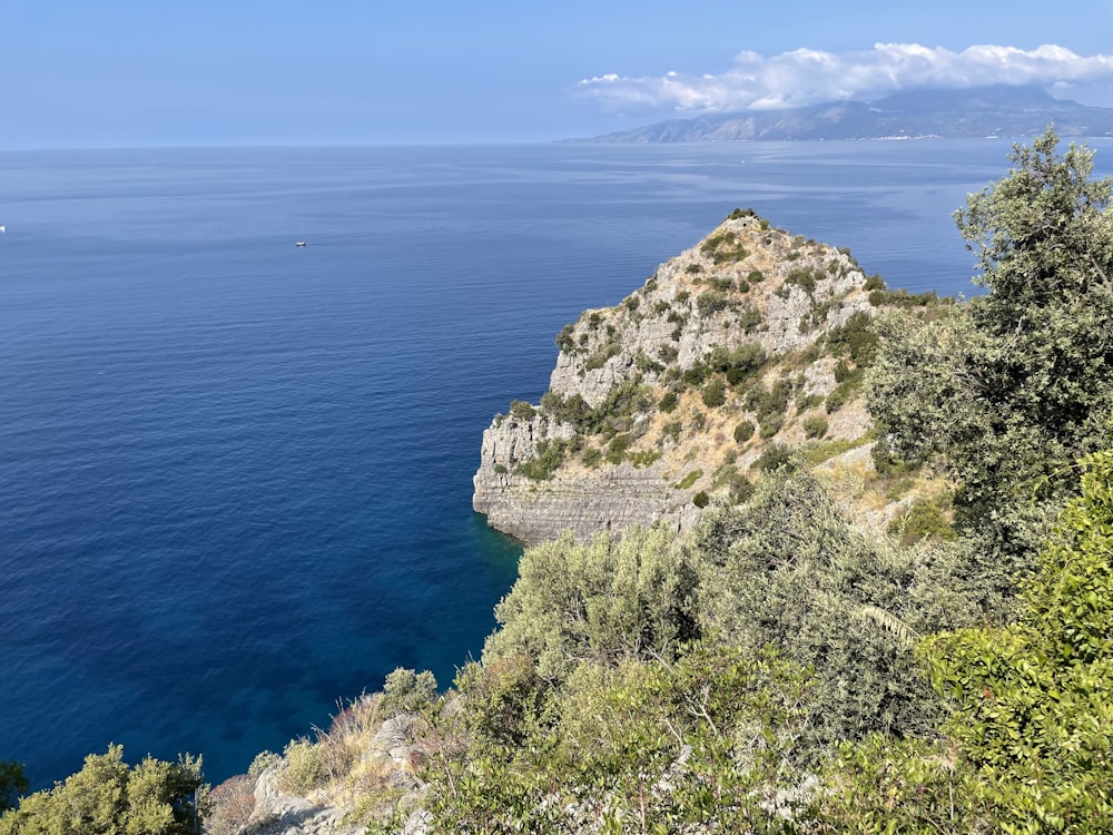 a rocky island with trees and blue water